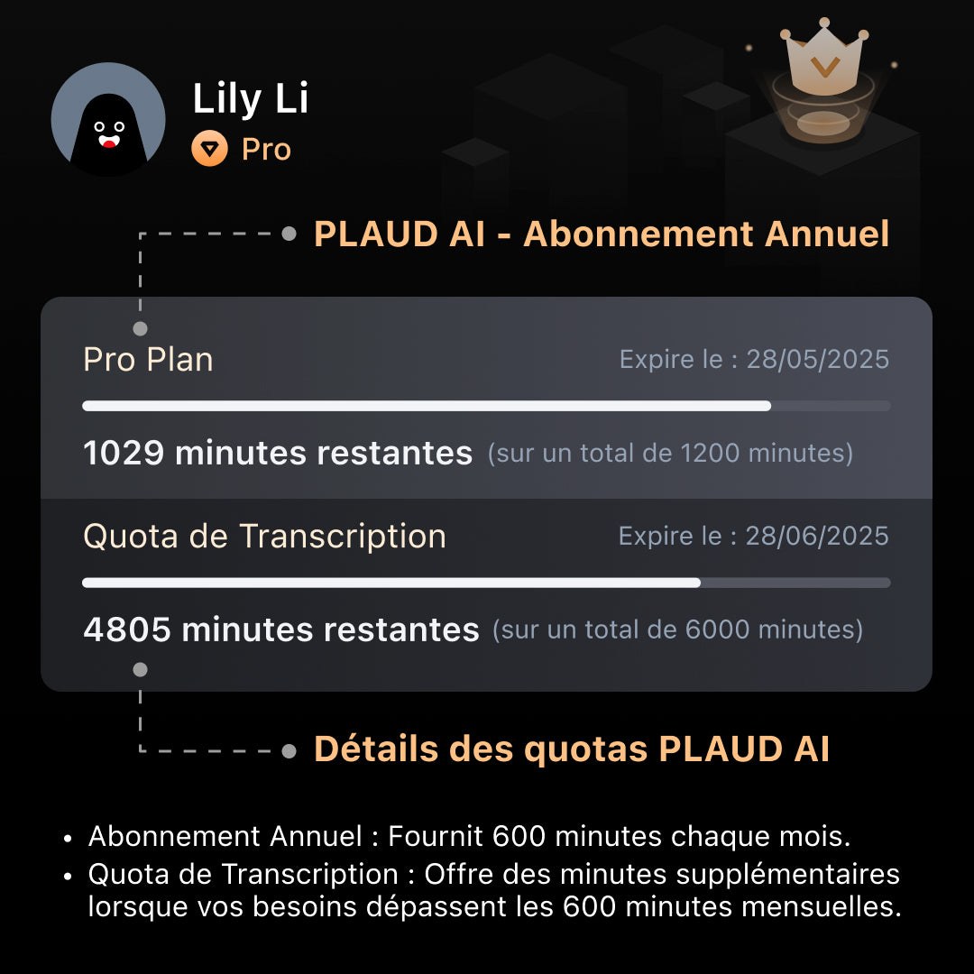 Quota de transcription PLAUD AI (6000/3000/600 minutes)