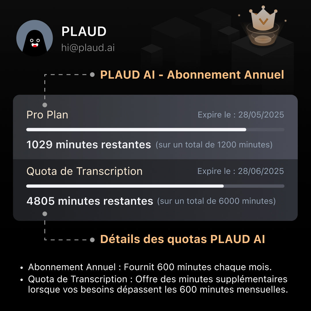 Abonnement annuel PLAUD AI