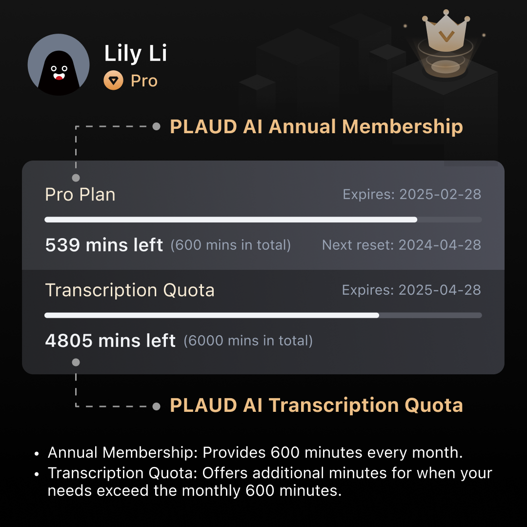 PLAUD AI Transcription Quota (6000mins)