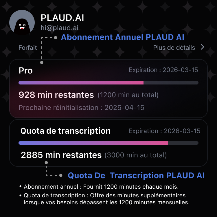 Quota de Transcription Plaud AI