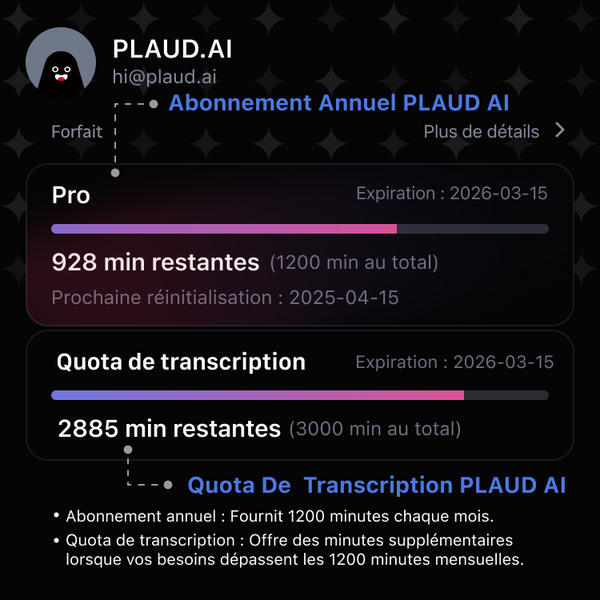 Quota de transcription PLAUD AI (6000/3000/600 minutes)
