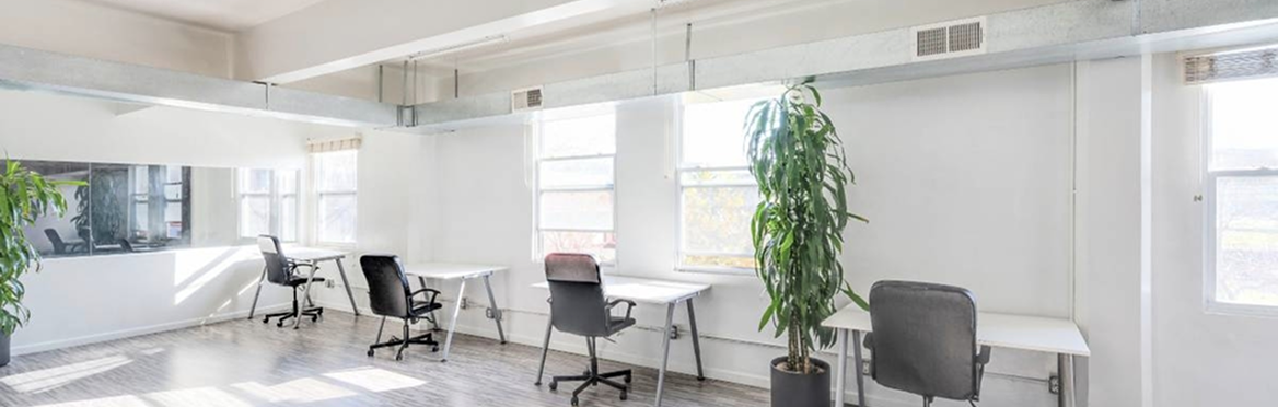 Un espace de bureau moderne et lumineux avec des murs blancs, plusieurs bureaux et chaises noires, et des plantes vertes.