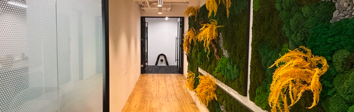 Un couloir de bureau moderne avec un parquet, un mur de verre et un mur de mousse verte orné de plantes jaunes.